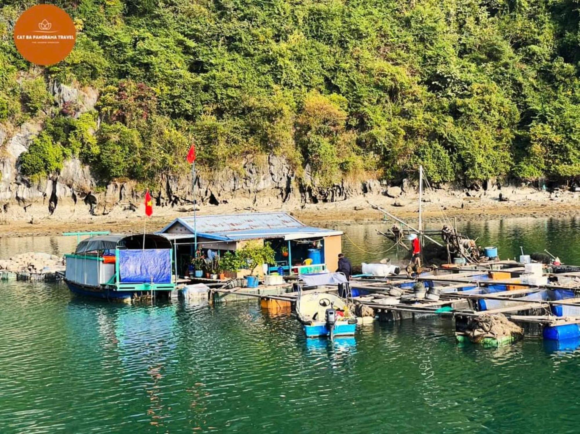 Napoli Hostel Chan Chau المظهر الخارجي الصورة